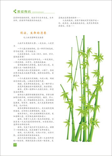 頁(yè)碼 (111)