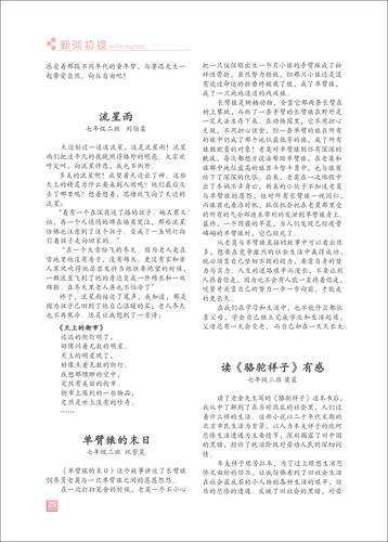 頁(yè)碼 (29)