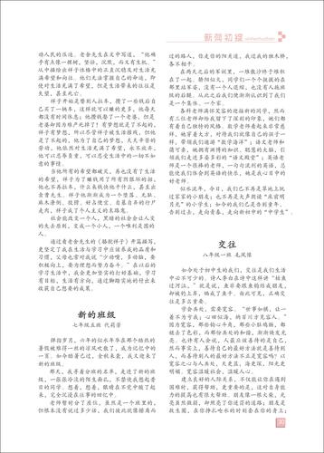 頁(yè)碼 (30)