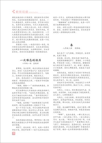 頁(yè)碼 (31)