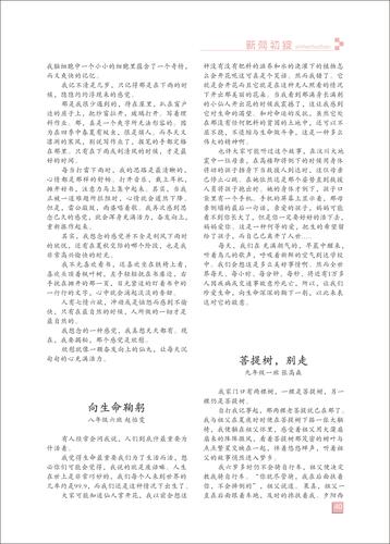 頁碼 (40)