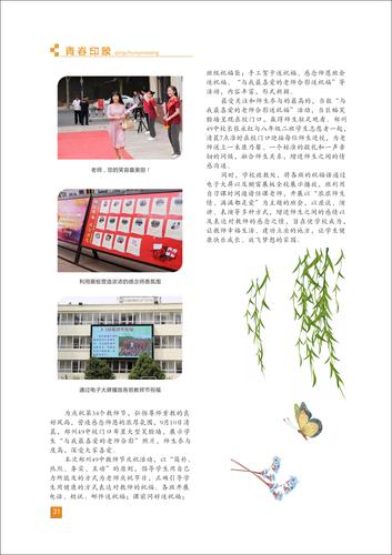 頁碼 (31)