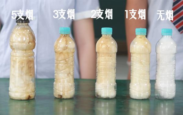 世界無(wú)煙日 (8)